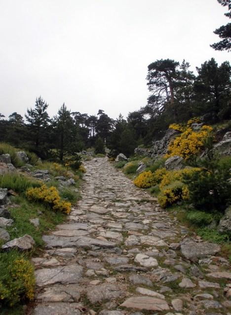 CaminoGranja